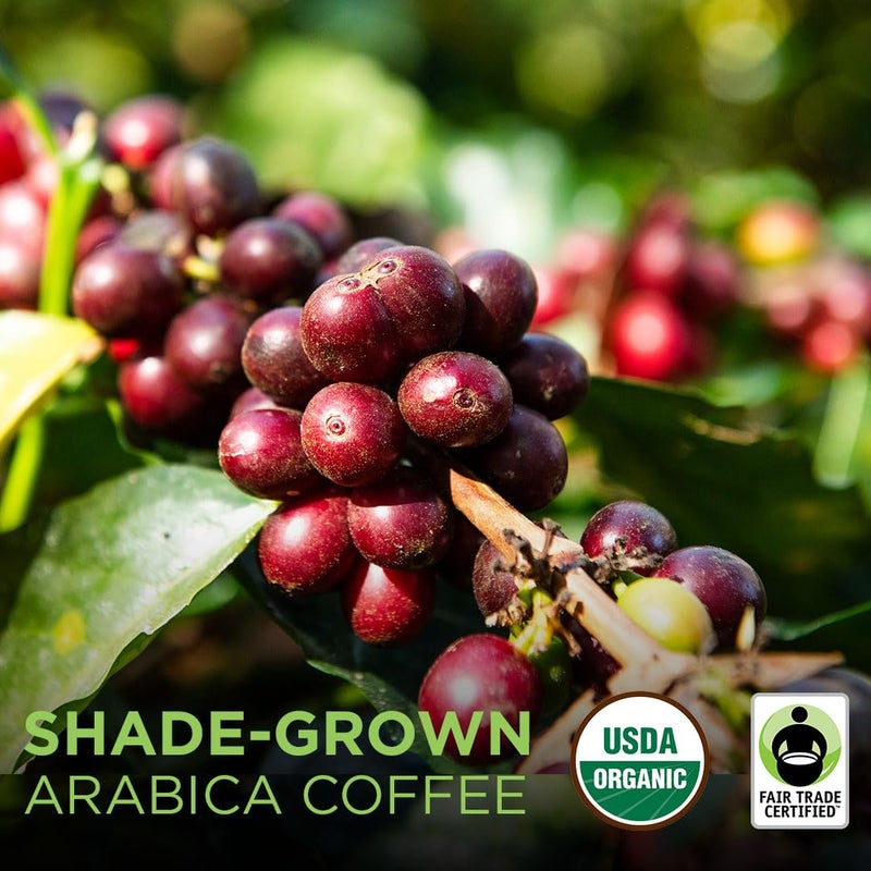 Tiny Footprint Coffee - Fair Trade Organic Nicaragua Segovia Dark Roast | Whole Bean Coffee | USDA Organic | Fair Trade Certified | Carbon Negative | 3 Pound - Image 4
